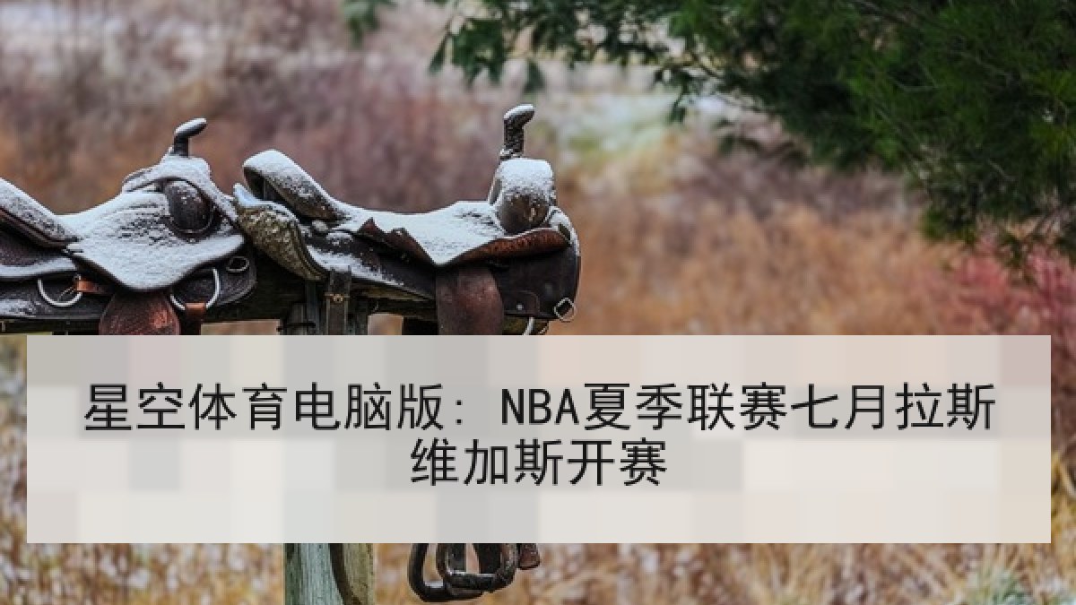星空体育电脑版: NBA夏季联赛七月拉斯维加斯开赛