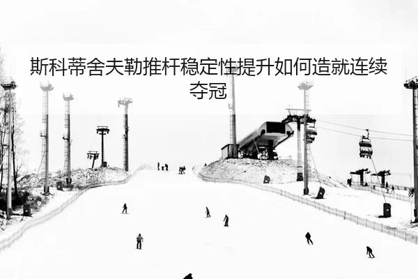si-ke-di-she-fu-lei-tui-gan-wen-ding-xing-ti-sheng-ru-he-zao-jiu-lian-xu-duo-guan-2-642.jpg